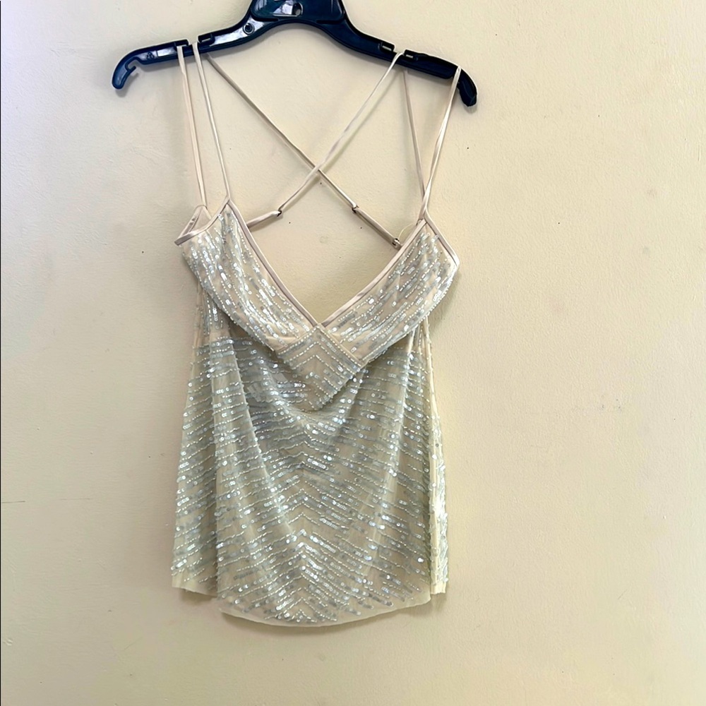 Silver with baby blue opulent Sequins Backless Camisole